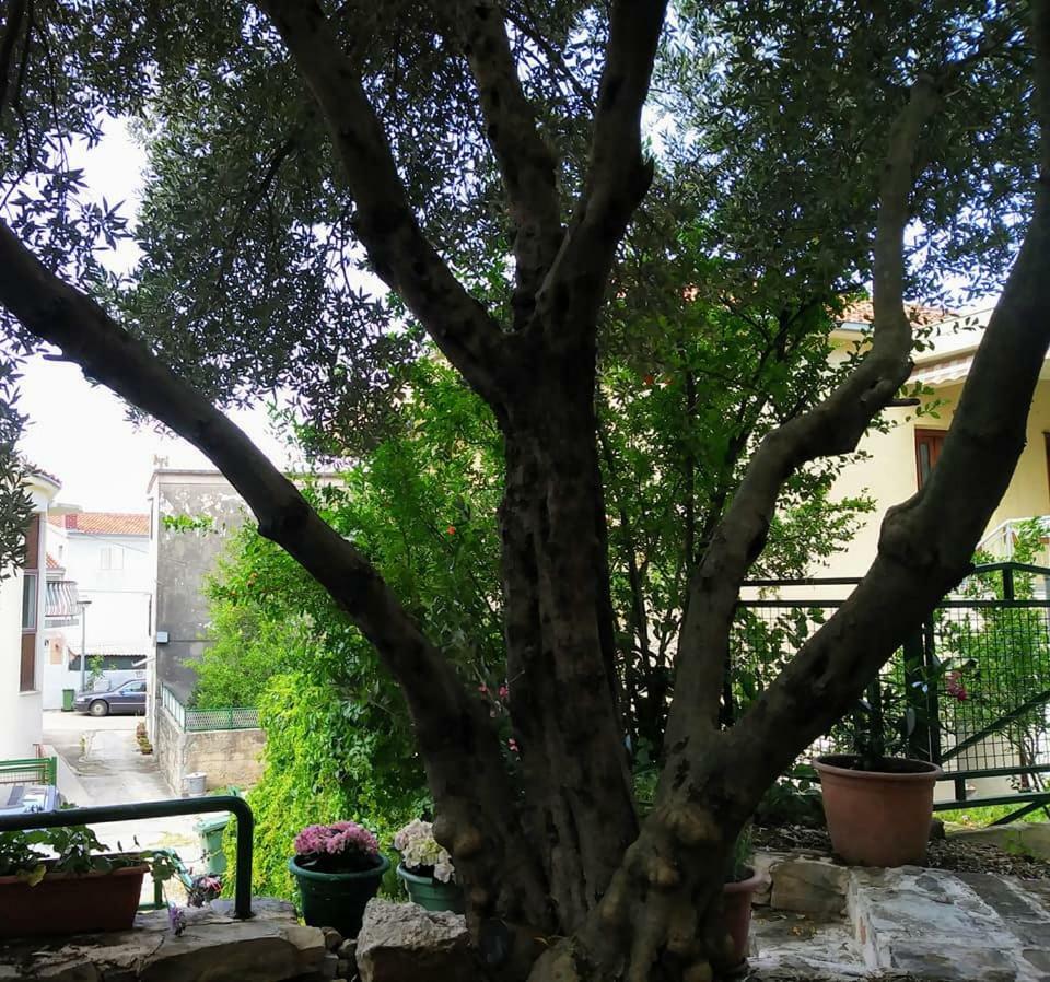 Dreams Apartment Makarska Luaran gambar